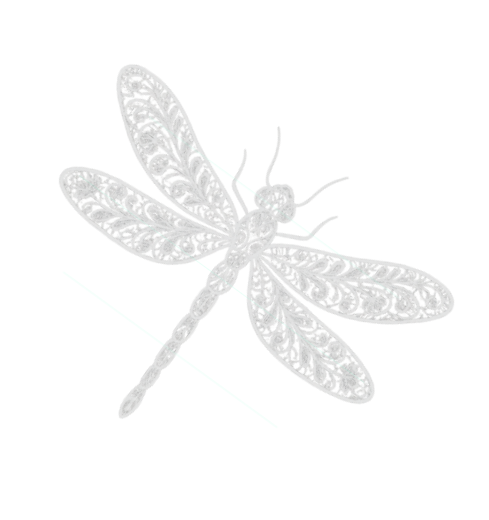 Dragonfly Tee | Inspirational Dragonfly Line Art Hidden Message T-Shirt