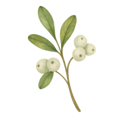 Mistletoe Blessing Tee | Minimalist Christmas Hidden Message T-Shirt