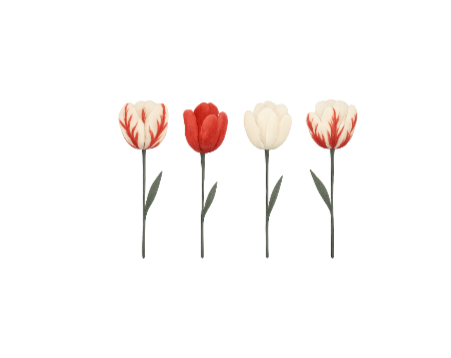 My Safe Place Tee | Tulip Watercolour Gift for Her T-Shirt