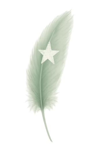 A Minimalist Sage Green Feather Tee | Lucky Symbol, Guidance, Hidden Mantra | Good Luck Gift