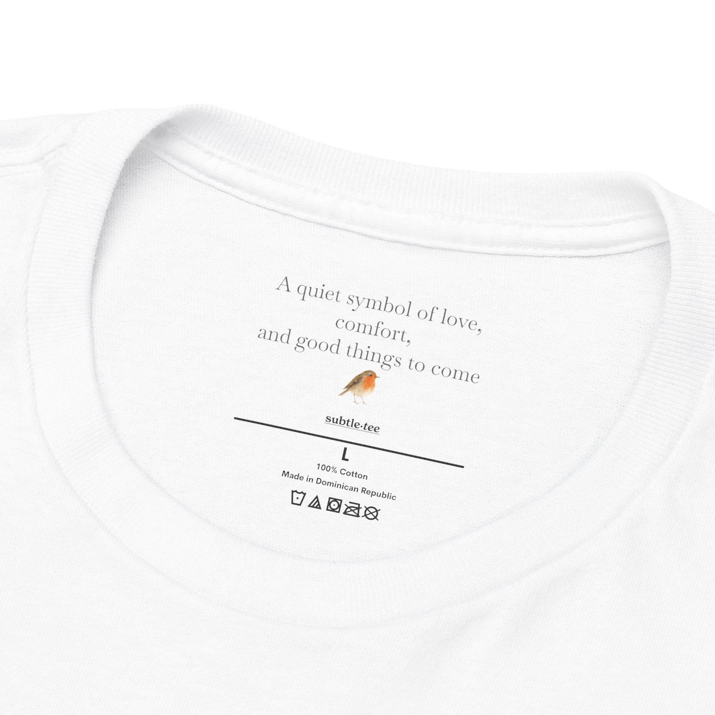 Robin Tee | Minimalist Christmas Hidden Message T-Shirt