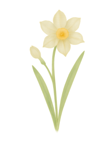 December Narcissus Birth Flower Tee | Minimalist Thoughtful Birthday Gift T-Shirt for Her