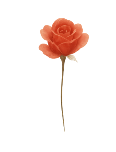 June Rose Birth Flower Tee | Minimalist Thoughtful Birthday Gift T-Shirt for Her